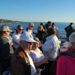 cambria2012_0211 (November 03, 2012)